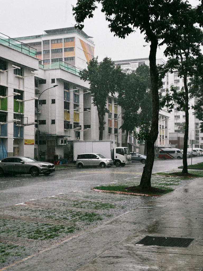 Singapore Street - Rainstorm